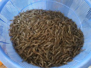 징금다리님의 자유주제 · 자유게시판 작성글 사진