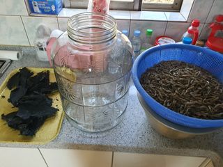 징금다리님의 자유주제 · 자유게시판 작성글 사진