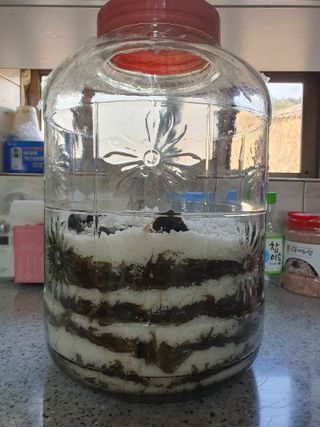 징금다리님의 자유주제 · 자유게시판 작성글 사진