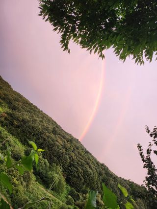 김희열님의 팜모닝에게 바라는 것은? · 참여글 작성글 사진