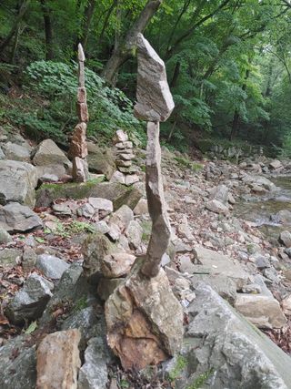 김희열님의 팜모닝에게 바라는 것은? · 참여글 작성글 사진