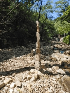 김희열님의 팜모닝에게 바라는 것은? · 참여글 작성글 사진