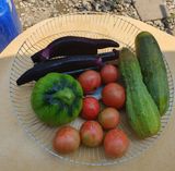 팜모닝 팜모닝에게 바라는 것은?·참여글 게시글 이미지