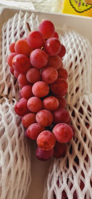 한상숙님의 팜모닝에게 바라는 것은? · 참여글 작성글 사진