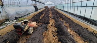 김흥진님의 고추 · 토양준비 작성글 사진