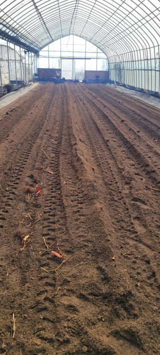 김흥진님의 고추 · 토양준비 작성글 사진