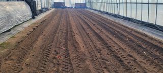 김흥진님의 고추 · 토양준비 작성글 사진