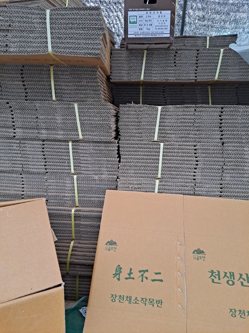 장터 상품 [고추박스10k] 썸네일