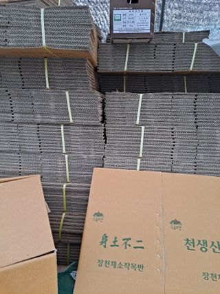 김순국님의 작성글 사진