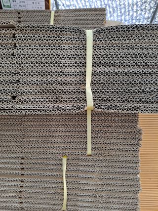 김순국님의 작성글 사진