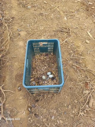 알 수 없음님의 자유주제 · 자유게시판 작성글 사진