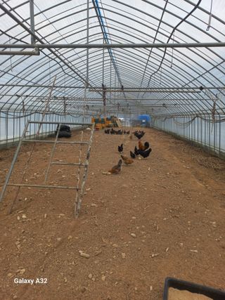 알 수 없음님의 자유주제 · 자유게시판 작성글 사진