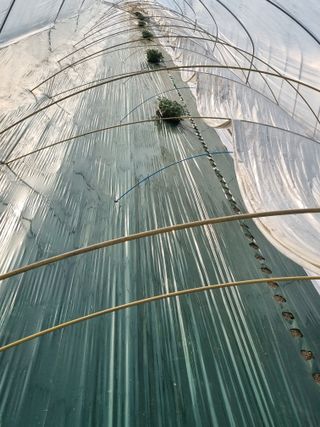 믿고사는농원-송미경님의 자유주제 · 자유게시판 작성글 사진