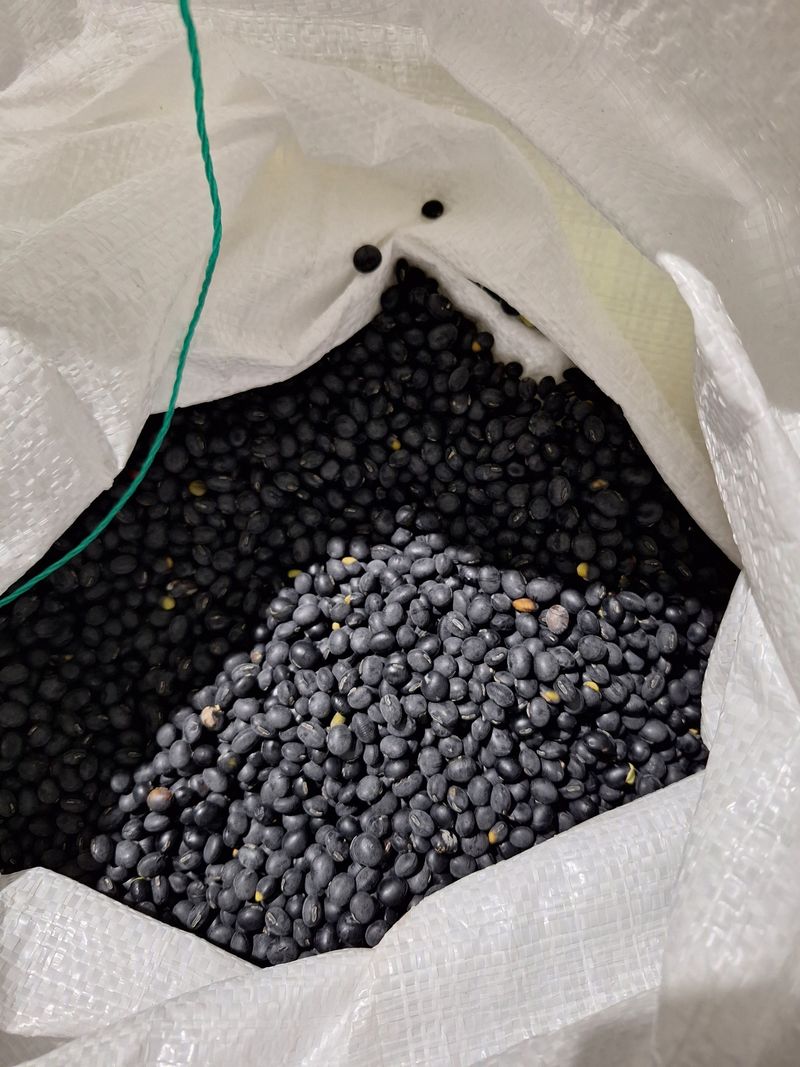 조순자님의 장터 판매 상품 [서리태 10kg] 첨부 사진