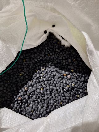 조순자님의 작성글 사진