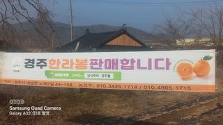 이호님의 귤 · 일상 작성글 사진