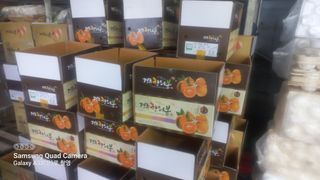 이호님의 귤 · 일상 작성글 사진