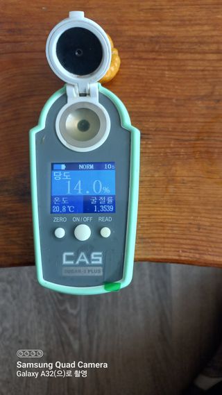 이호님의 귤 · 일상 작성글 사진