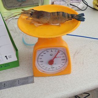 김성민님의 벼 · 자유게시판 작성글 사진