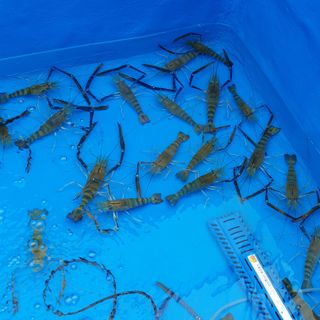 김성민님의 벼 · 자유게시판 작성글 사진