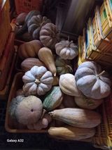 팜모닝 자유주제·자유게시판 게시글 이미지