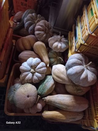 박영주님의 자유주제 · 자유게시판 작성글 사진