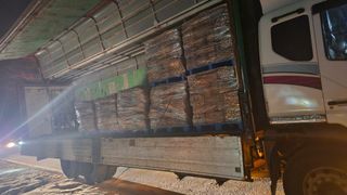 병풍취산채농원님의 두릅 · 수확 작성글 사진