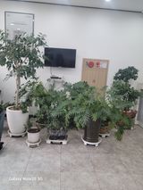 팜모닝 자유주제·자유게시판 게시글 이미지