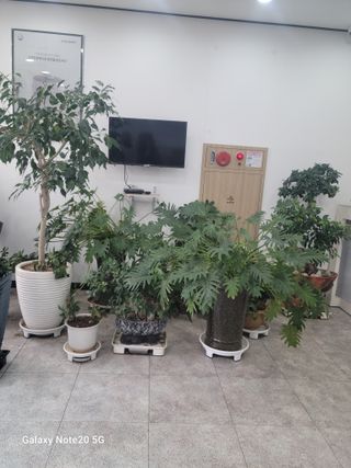 강화댁님의 자유주제 · 자유게시판 작성글 사진