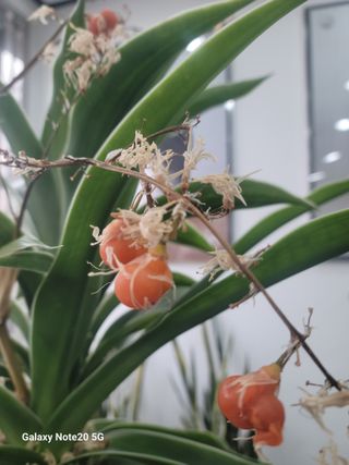 강화댁님의 자유주제 · 자유게시판 작성글 사진