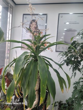 강화댁님의 자유주제 · 자유게시판 작성글 사진