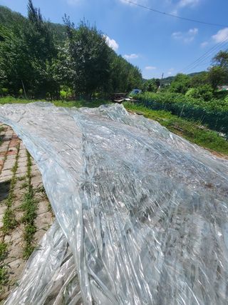 미소팜님의 들깨 · 자유게시판 작성글 사진