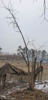팜모닝 감·자유게시판 게시글 이미지