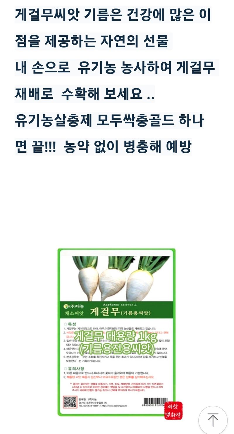 대산농사대장님의 장터 판매 상품 [게걸무1kg(기름용전용씨앗)] 첨부 사진