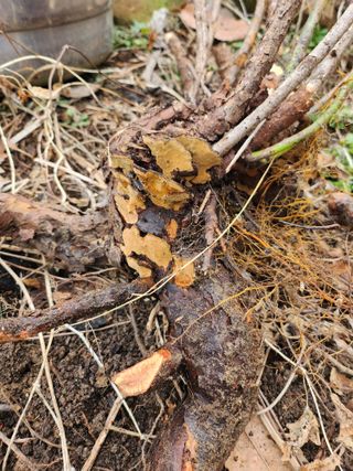 성낙신 님의 자유주제 · 자유게시판 작성글 사진