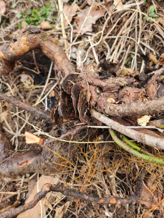 성낙신 님의 자유주제 · 자유게시판 작성글 사진