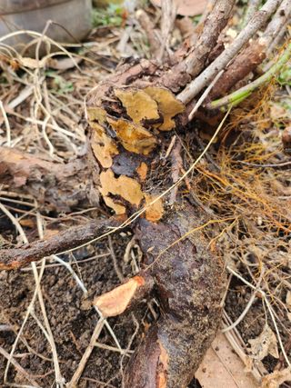 성낙신 님의 자유주제 · 자유게시판 작성글 사진