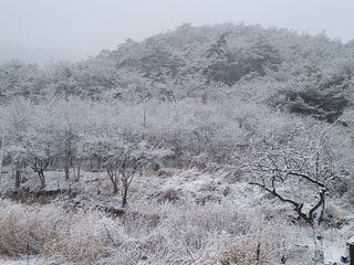 향기나무농장 님의 우리동네 · 동네정보 작성글 사진