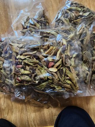 대봉감 단감 고구마님의 작성글 사진