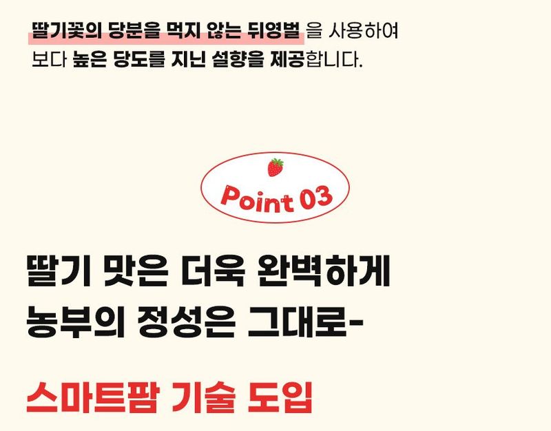 강보묵님의 장터 판매 상품 [설향딸기] 첨부 사진