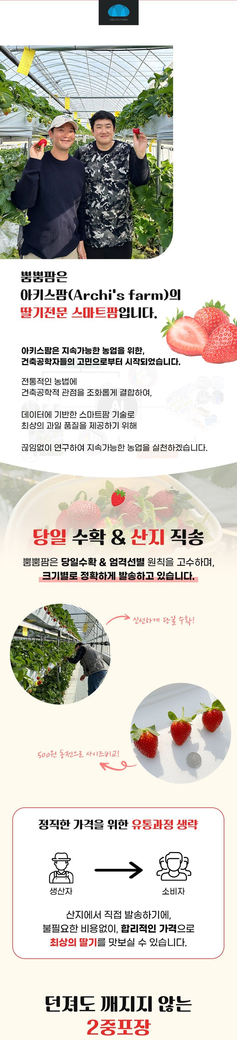 강보묵님의 장터 판매 상품 [설향딸기] 첨부 사진