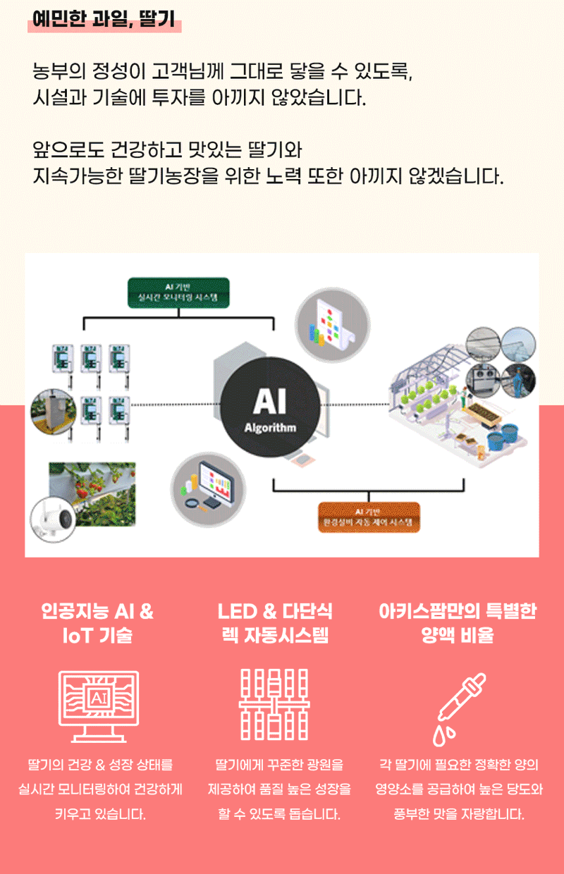 강보묵님의 장터 판매 상품 [설향딸기] 첨부 사진