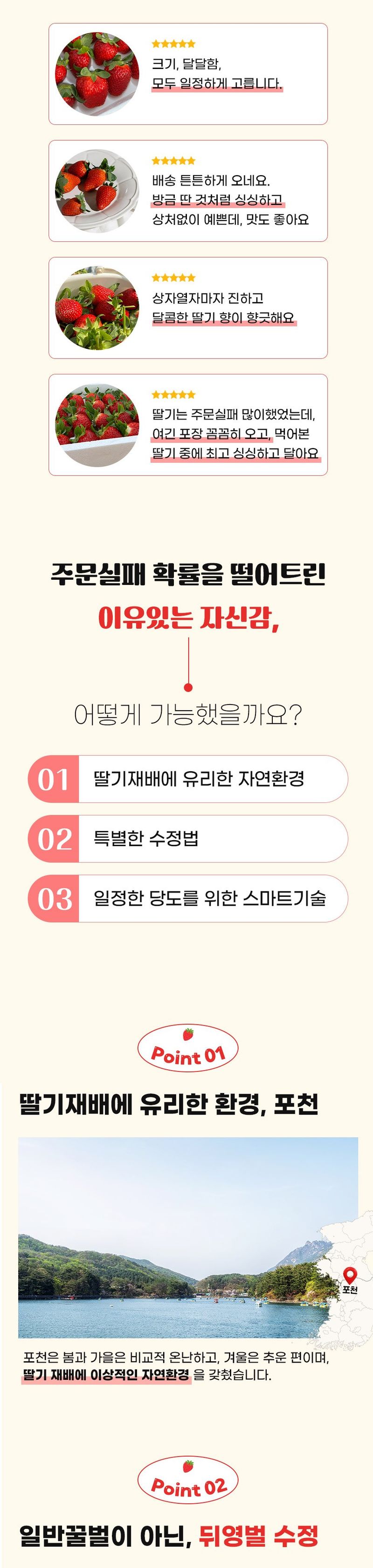 강보묵님의 장터 판매 상품 [설향딸기] 첨부 사진
