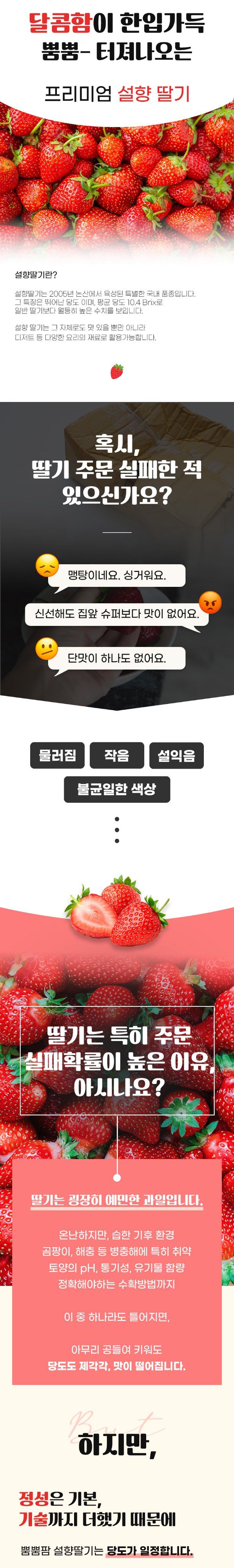 강보묵님의 장터 판매 상품 [설향딸기] 첨부 사진