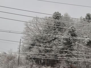 여우내 이순홍님의 우리동네 · 동네정보 작성글 사진