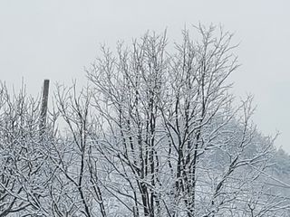 여우내 이순홍님의 우리동네 · 동네정보 작성글 사진