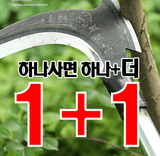 팜모닝 · 게시글 이미지