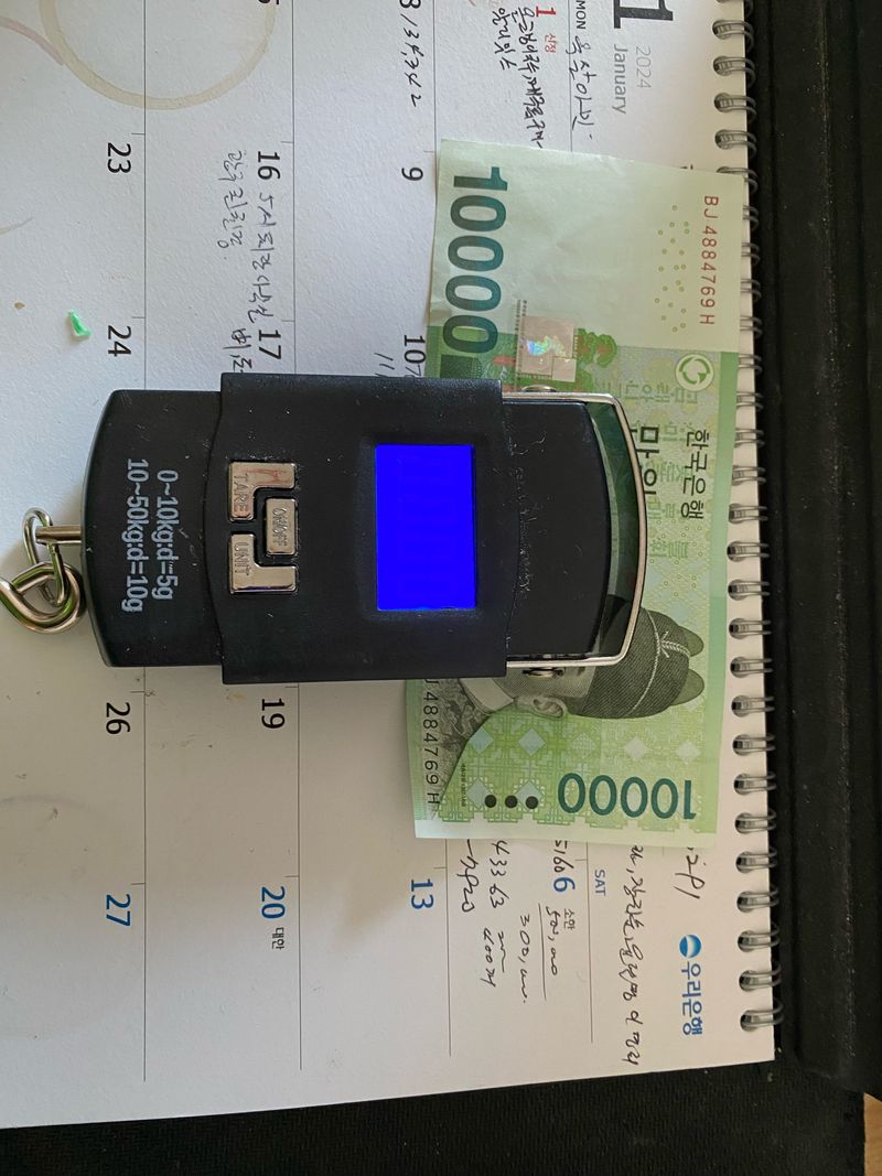 오작교농장님의 장터 판매 상품 [휴대용전자저울50Kg무료배송] 첨부 사진