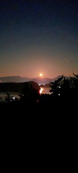 팜모닝 우리동네·동네수다 게시글 이미지