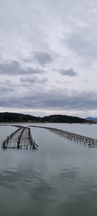 만득통님의 우리동네 · 동네수다 작성글 사진